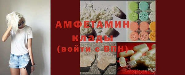 крисы Верхний Тагил