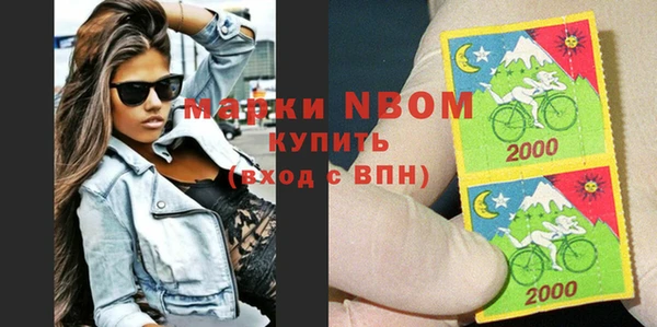 крисы Верхний Тагил