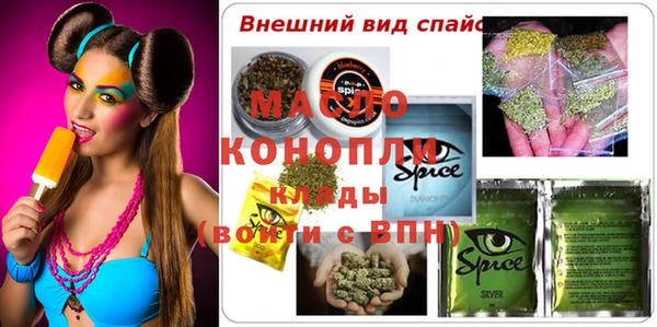 крисы Верхний Тагил