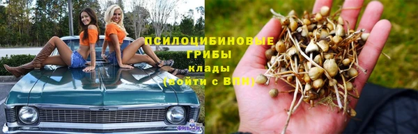 каннабис Верея