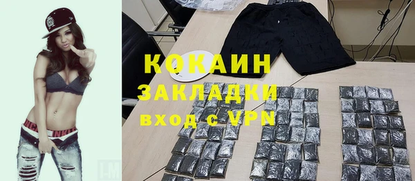 крисы Верхний Тагил
