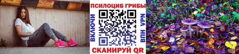 Псилоцибиновые грибы GOLDEN TEACHER  Егорьевск 